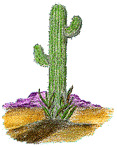 cb radio cactus